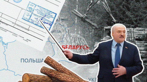 Fake made in Belarus. How European border guards allow sanctioned timber into the EU