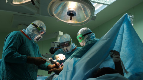 Lilia Lukashenko’s mate and oligarchs benefit from ‘Case of Orthopaedics’